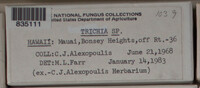 Image Associated With the Occurence
